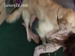 A young, sultry woman getting pounded from behind while consuming her boyfriend's cock